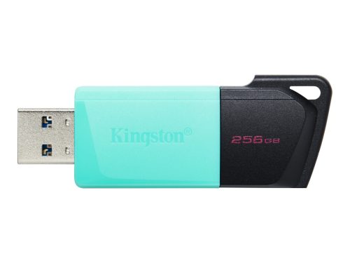 KINGSTON 256GB DataTraveler Exodia M