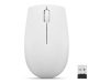 LENOVO 300 Wireless Compact Mouse Cloud