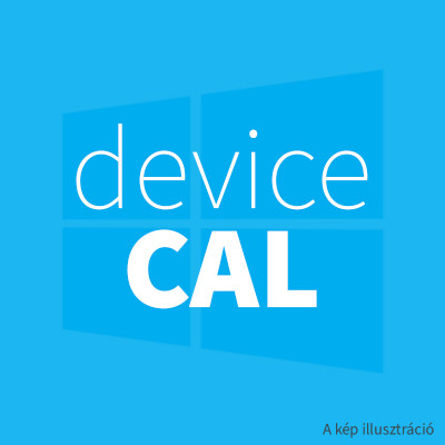 SharePoint Enterprise 2019 Device CAL